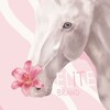 Логотип телеграм канала @elitebrandwhi — [🌸] Equinᴇ Eliᴛᴇ Brᴀnd | WHI Shᴏᴩ