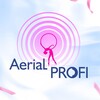Логотип телеграм канала @elizabethaerialprofi — Elizabeth_profi