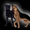 Логотип телеграм -каналу eliziaanddora — Ⲉⲗьⳅⲁ & Ⲇⲟⲣⲁ
