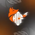Telegram channel Hardcore fighting logo