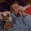 Logo of telegram channel ellewoodsiscalling — Elle Woods is calling
