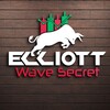 Logo of telegram channel elliottwavesecret — Elliott Wave Secret