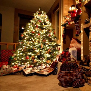 Логотип телеграм канала @elochkaopt — Елки оптом | Новогодние украшения | Сосны оптом