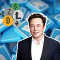 Logo of telegram channel elonmuskcc — Elon Musk 🌐