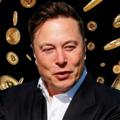 Telegram channel ELON MUSK FIXER logo