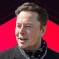 Logo saluran telegram elonmuskgifts — Official Elon Musk Giveaway️️🆓