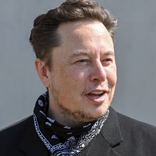 Logo of telegram channel elonmusktwitter — 🐦 Elon Musk's Twitter