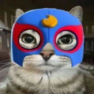 Telegram channel primo💪 logo