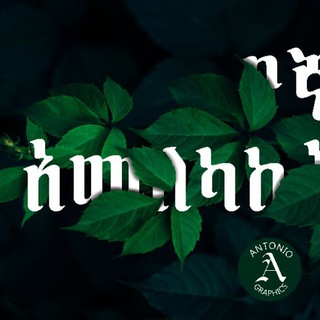 የቴሌግራም ቻናል አርማ elshadayeasefa16 — የኛ አመለካከት😊