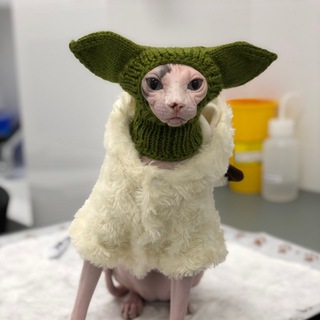 Логотип телеграм канала @elysium_sphynx_cattery — Elysium Sphynx Cattery
