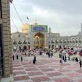 لوگوی کانال تلگرام emam8om — کانال امام رضا علیه السلام