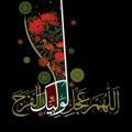Logo saluran telegram emame_zaman — 🌼کانال مهدویت🌼