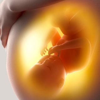 Logotipo del canal de telegramas embarazo - Embarazo, posparto y bebes