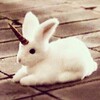 Логотип телеграм канала @emelonik — емельянова36 🎱
