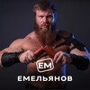 Логотип телеграм канала @emelyanovmich — Компания «ЕМельянов»