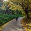 Логотип телеграм канала @emigrantkanotes — Записки из эмиграции