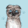 Логотип телеграм канала @emma_kittys — .`-лежанка эммы-`.
