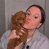 Логотип телеграм канала @emmepoodle — Элли и Эмми | той пудель