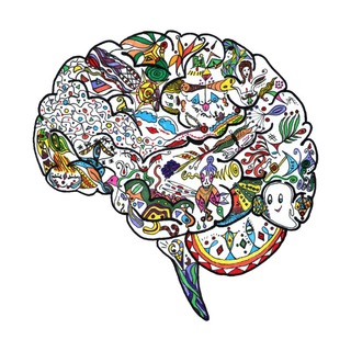 Логотип телеграм канала @emobrain — EmoBrain
