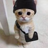 Логотип телеграм канала @emojitgpremiumm — стикеры для тг премиума | эмодзи для тг премиума | премиум эмодзи