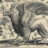 Логотип телеграм канала @emperor_plexus — plexus 𓉡