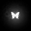 Логотип телеграм канала @endbutterfly — Butterfly