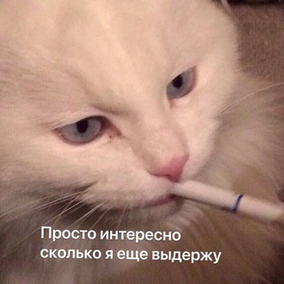Логотип телеграм канала @endless_uncertainty_memes — Теперь без Энви