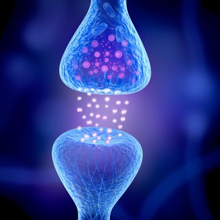 Logo des Telegrammkanals endocannabinoidsystem - Hanf und das endogene Cannabinoid System
