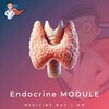 Telegram channel Endocrine Module | MW logo