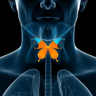 Логотип телеграм канала @endocrinolog_elis — Журнал здоровья 👩‍⚕️