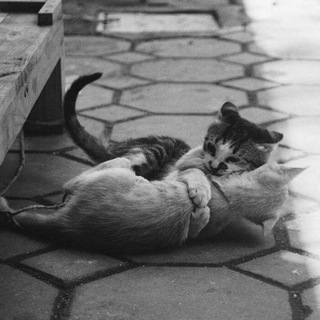 Логотип телеграм канала @endofthat — شایع