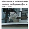 Логотип телеграм канала @endoreflection — Эндорефлексия