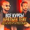 Логотип телеграм канала @endrewtatecours — Эндрю & Тристан Тейт | Курсы на Русском языке