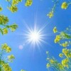 Логотип телеграм канала @energopractika_luchsveta — ☀️Энерготерапия ☀️Луч Света☀️