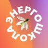 Логотип телеграм канала @energoschool — ЭнергоШкола Эн 