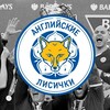 Логотип телеграм канала @englandfoxes — Английские Лисички