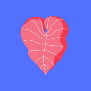 Логотип телеграм канала @englct — Английский ЦТ/ЦЭ