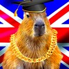 Логотип телеграм канала @englishmemesforyou — 💃🏼Английские мемы для всех🕺🏽