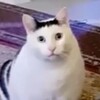 Логотип телеграм канала @englishnauch — Инглишу Научишб?