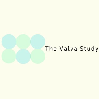 Логотип телеграм канала @englishvalva — The Valva study | поступление