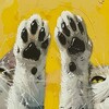 Логотип телеграм канала @engpaws — Инглиш на лапках