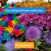 Логотип телеграм канала @enigmaflowerssales — Enigma горячие продажи🔥🔥