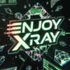 Логотип телеграм канала @enjoyxray — ENJOY XRAY ™