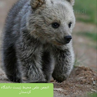 لوگوی کانال تلگرام ensa_uok — انجمن علمی محیط زیست دانشگاه کردستان