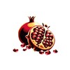 Логотип телеграм канала @ensemble_golden_garnet — Золотой Гранат | Golden Pomegranate