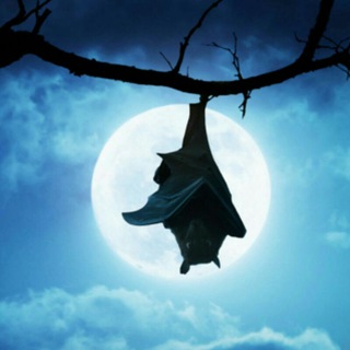 Лагатып тэлеграм-канала enteratedetodo — De todo un Poco©️®️™️🇨🇺