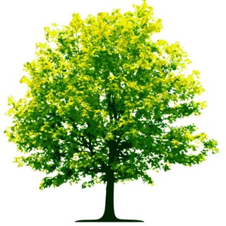 टेलीग्राम चैनल का लोगो environment_questions — Environment Notes EVS Notes Study Material PDF Previous Year Question Paper