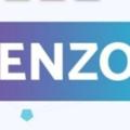 Logo saluran telegram enzofxea — ENZOFXEA