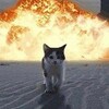 Логотип телеграм канала @epic_circles — Эпичные кружки | Кругляшки | Кругляшики