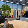 Telegram channel EQMODA logo